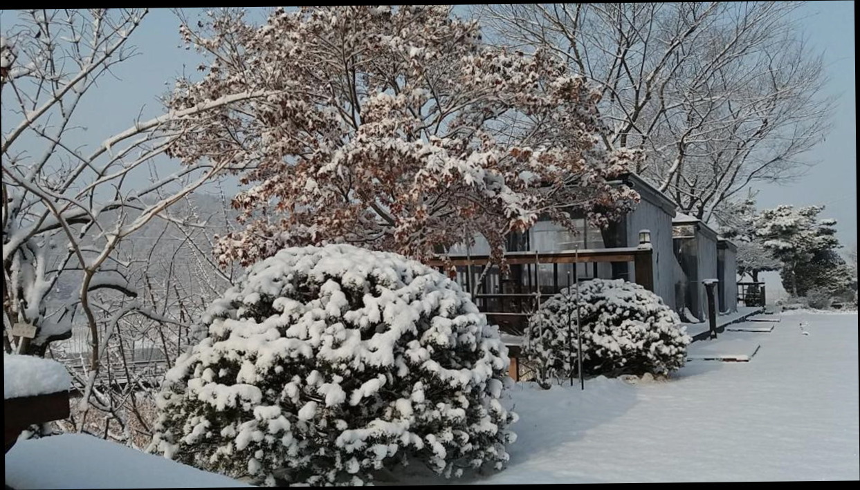 (이미지설명: 색채의 숲 펜션 - 호텔 둘러보기 안내사진)