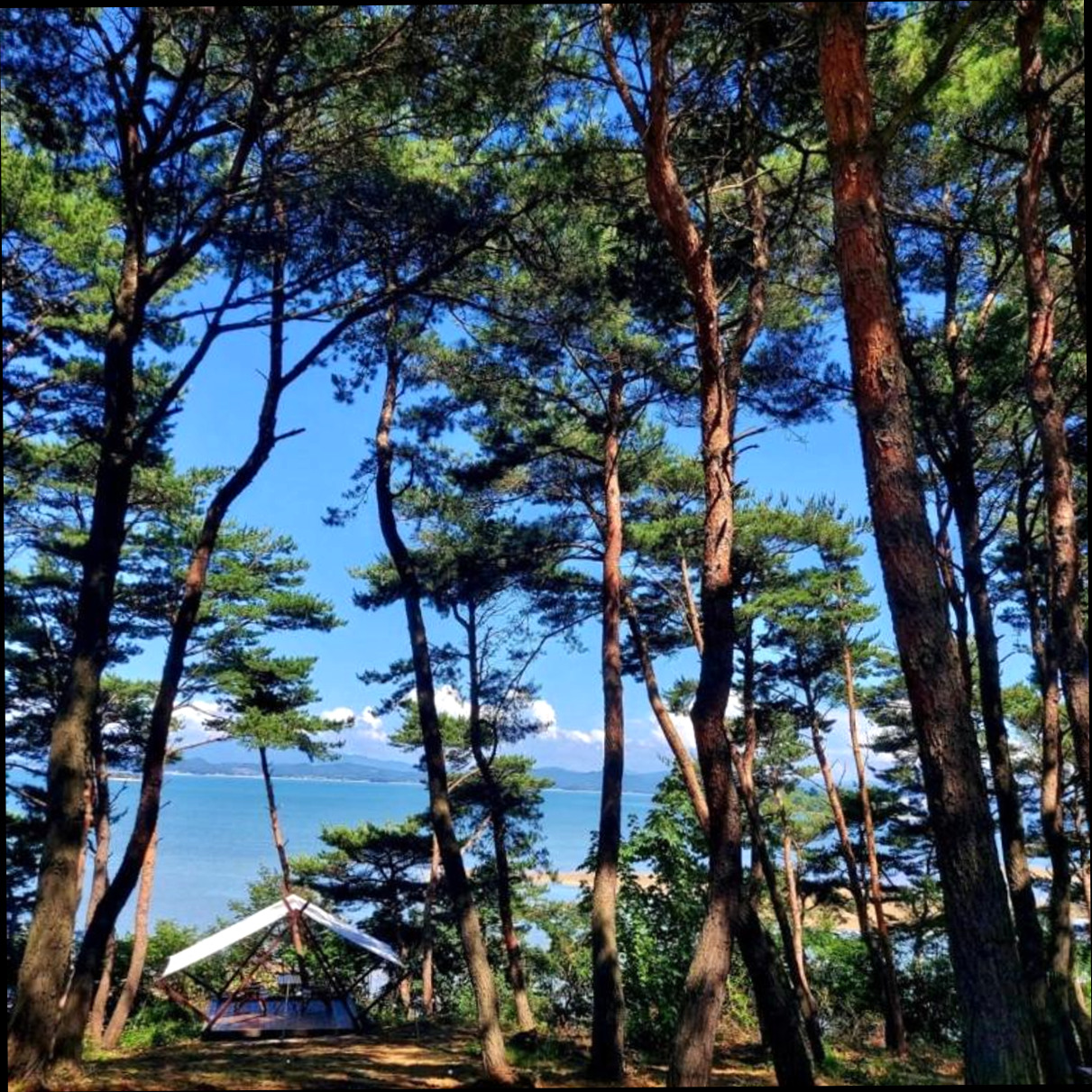 (이미지설명: 해림원 - 객실 상세 리뷰 안내사진)
