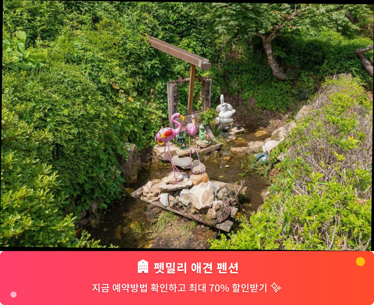 (이미지설명: 펫밀리 애견 펜션 - 메인 안내사진)