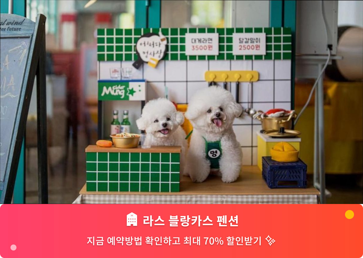 (이미지설명: 라스 블랑카스 펜션 - 메인 안내사진)