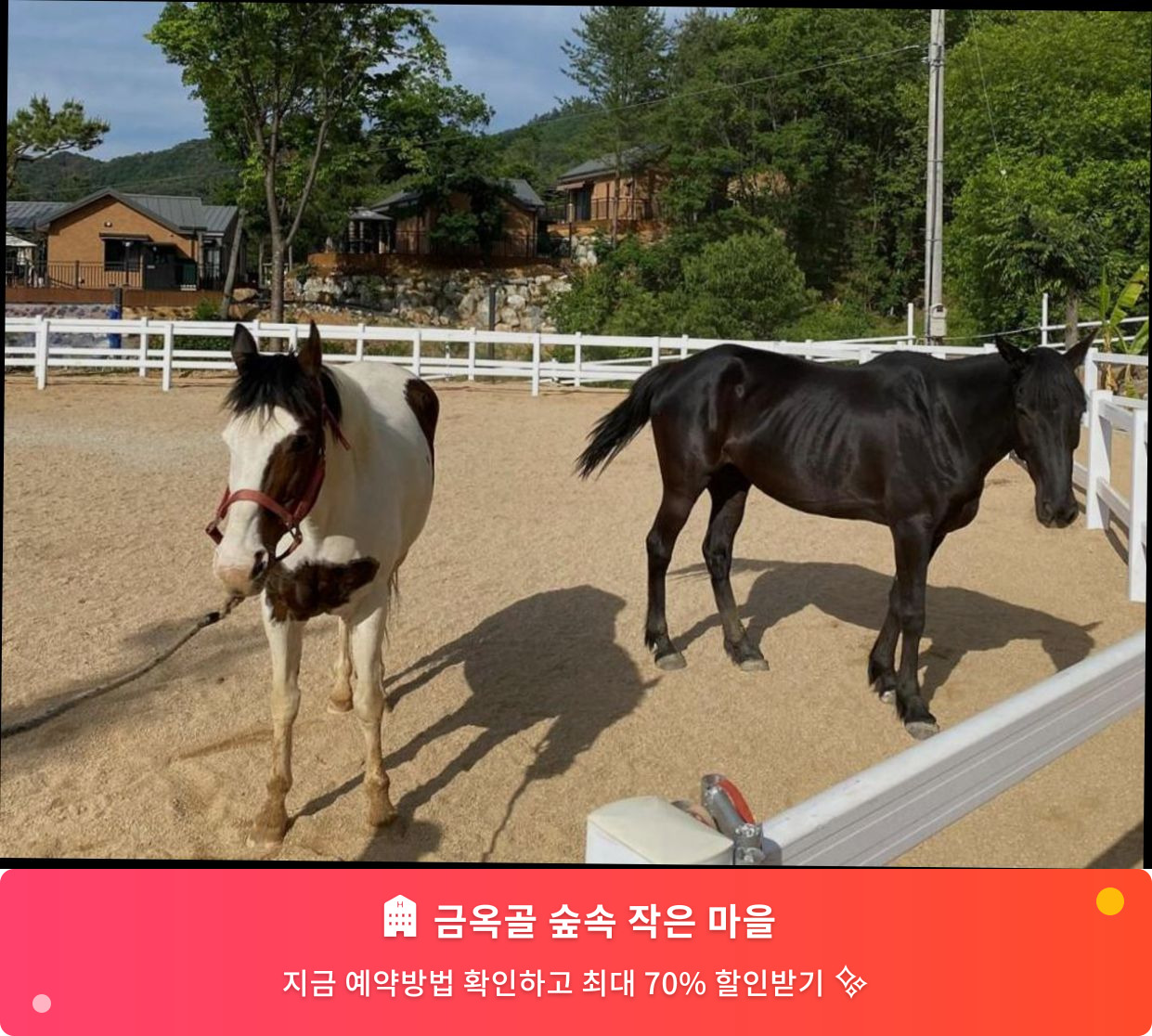 (이미지설명: 금옥골 숲속 작은 마을 - 메인 안내사진)