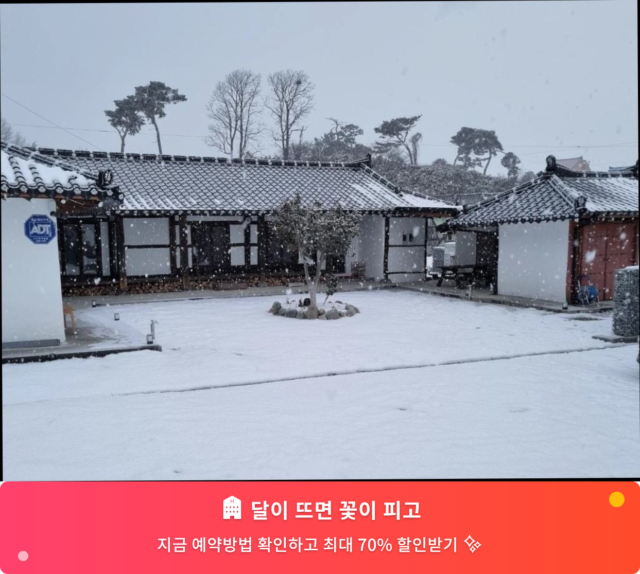 (이미지설명: 달이 뜨면 꽃이 피고 - 메인 안내사진)