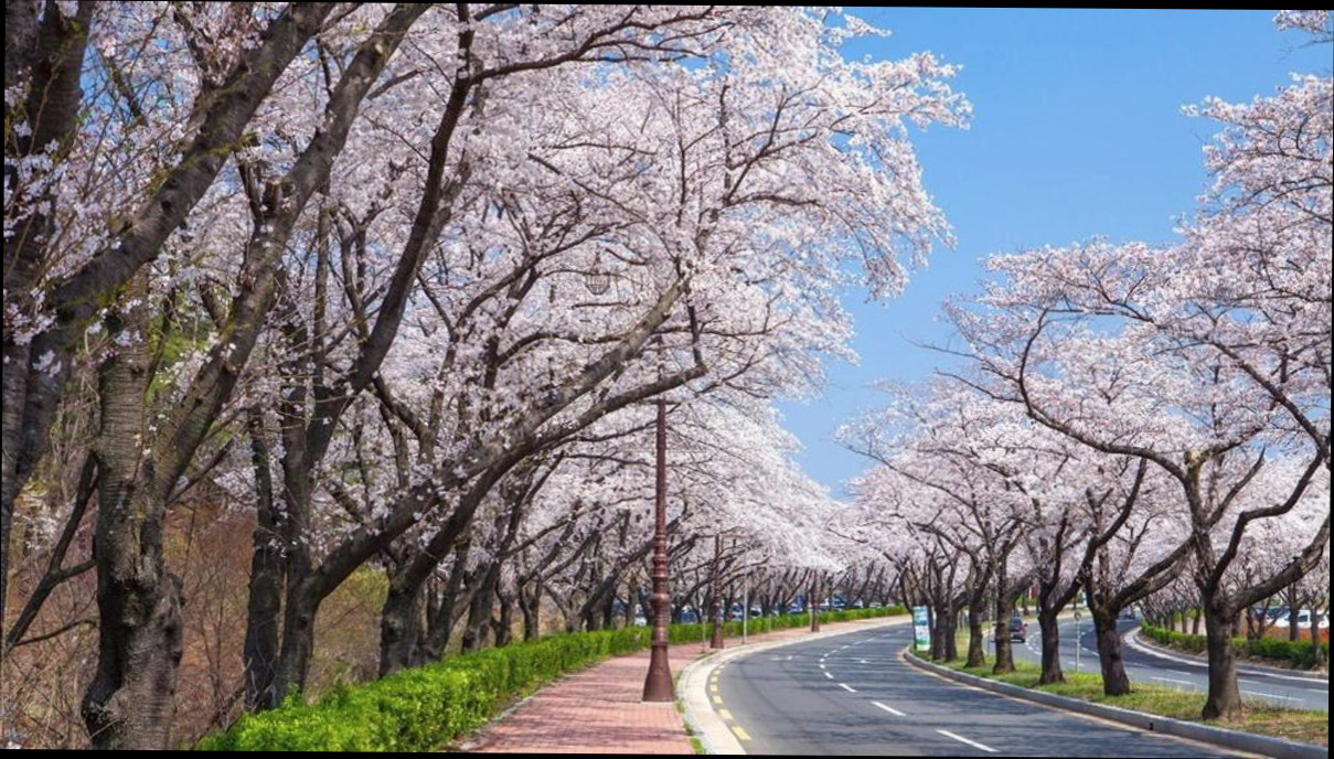 (이미지설명: 스테이 365 - 객실 안내사진)
