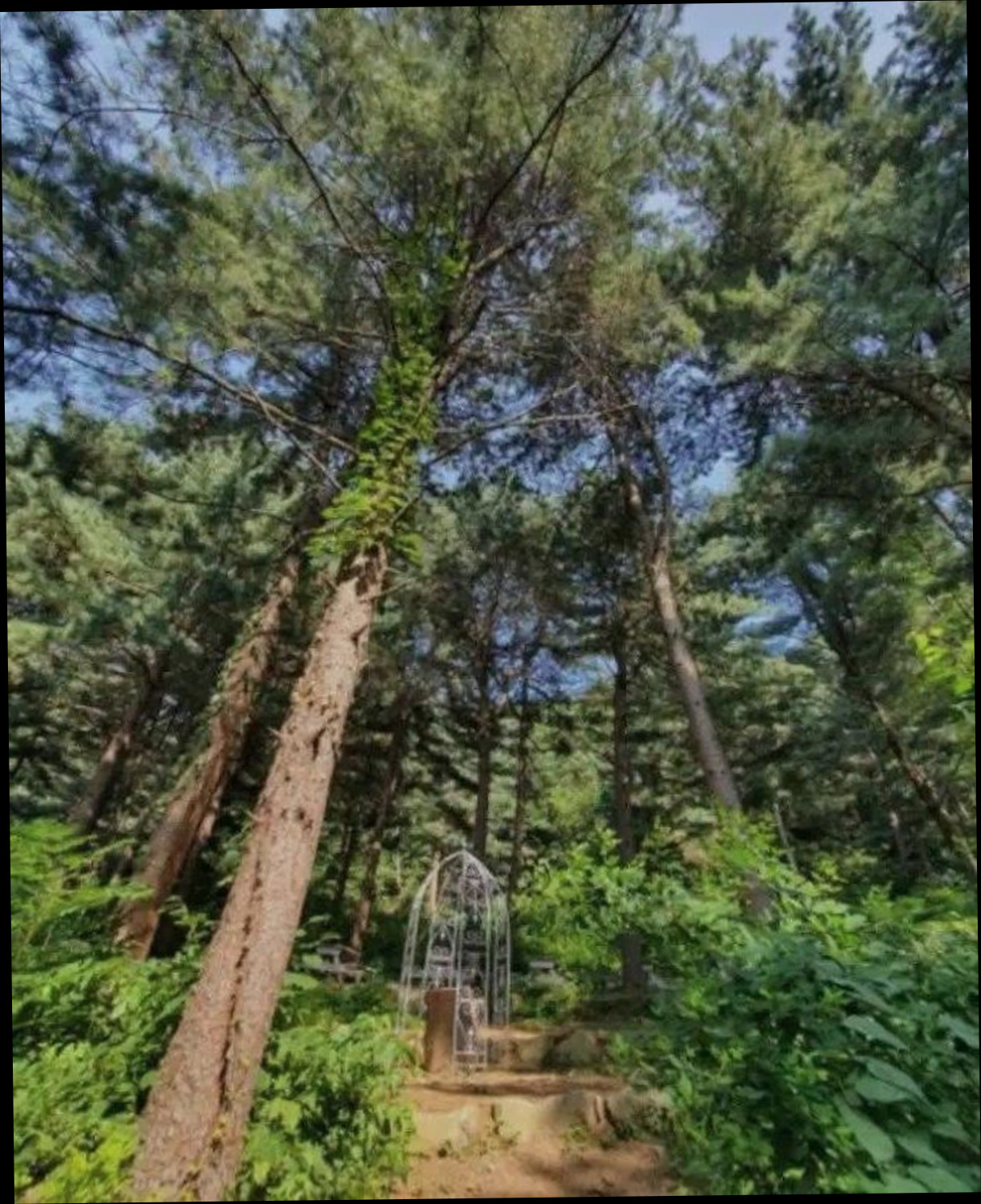 (이미지설명: 서종면의 프라이빗 하우스 (50m², 침실 1개, 프라이빗 욕실 1개) - 객실 상세 리뷰 안내사진)