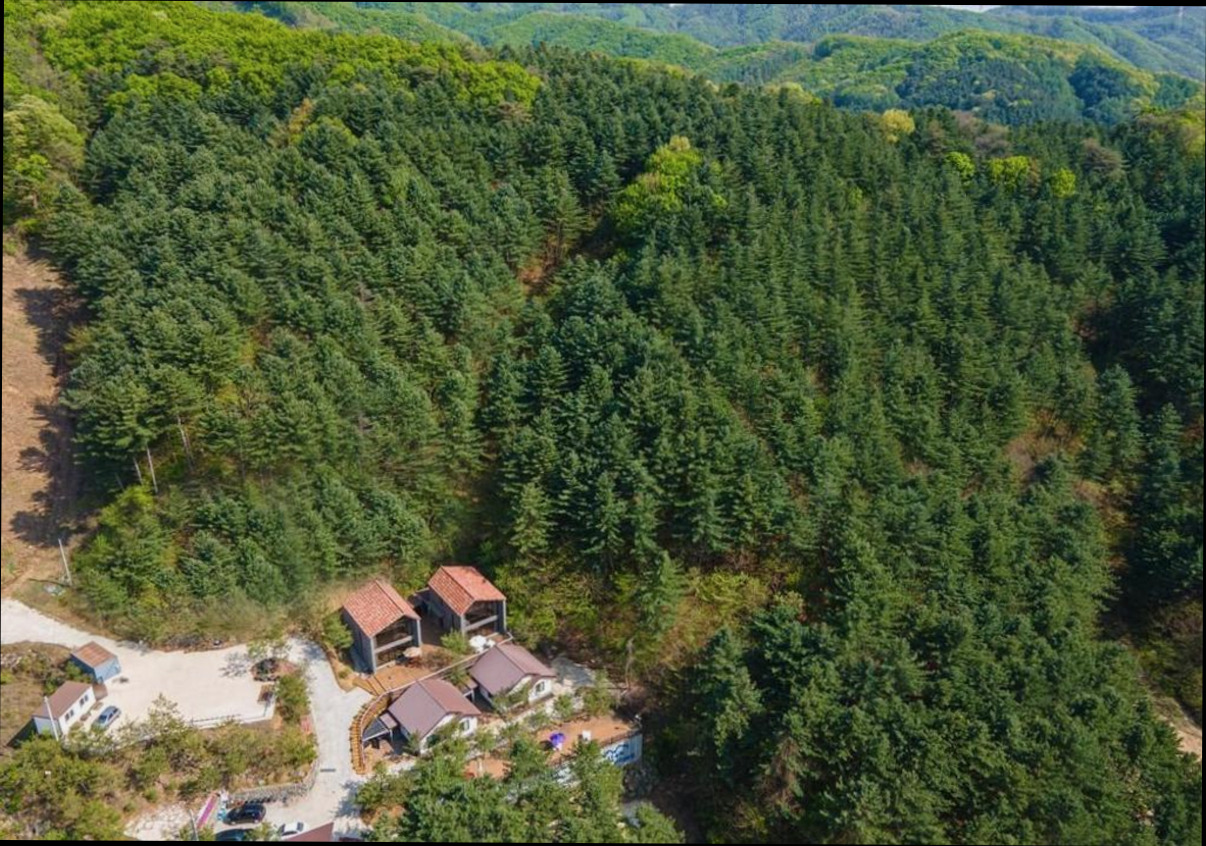 (이미지설명: 지안 펜션 - 객실 상세 리뷰 안내사진)