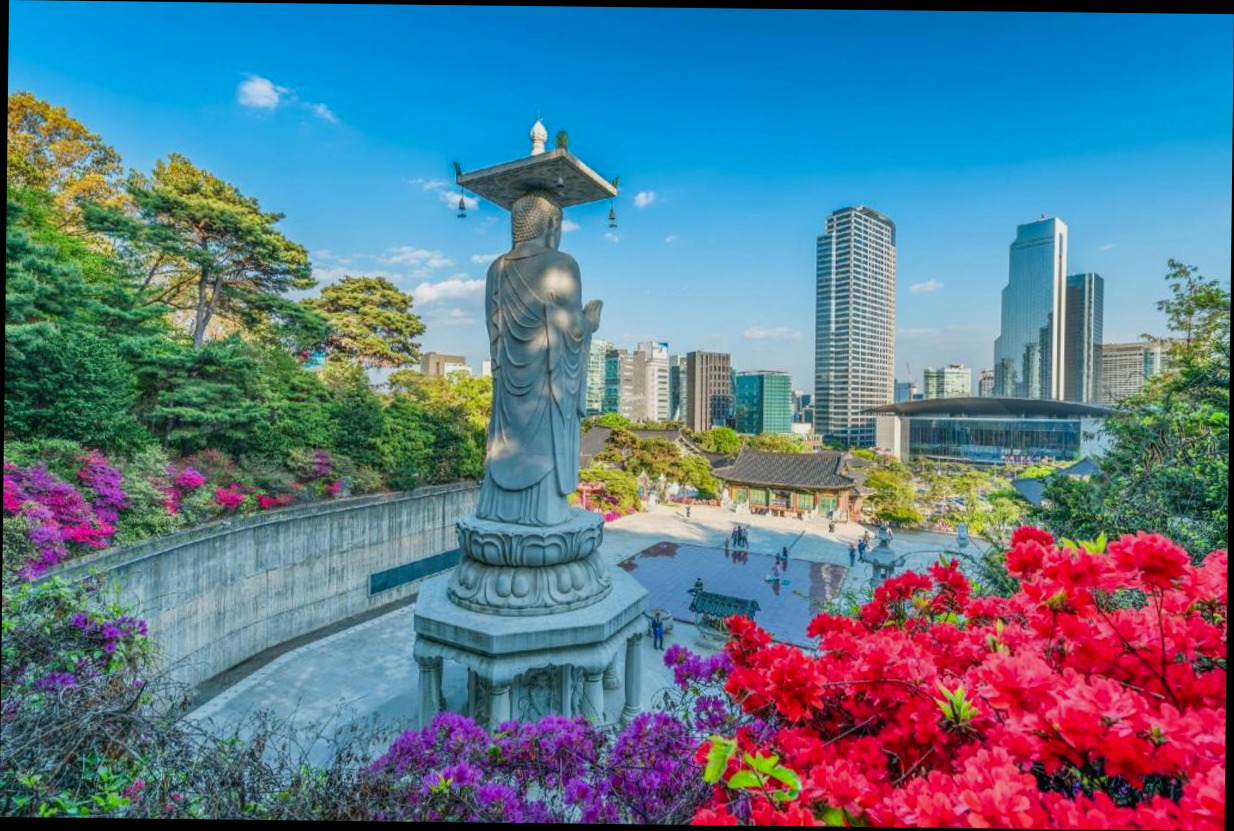 (이미지설명: 강남의 아파트먼트 (51m², 침실 1개, 프라이빗 욕실 1개) (luxury 단기,장기임대, 고급레지던스) - 객실 상세 리뷰 안내사진)