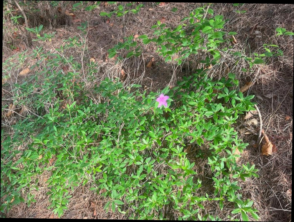 (이미지설명: 서종면의 프라이빗 하우스 (150m², 침실 2개, 프라이빗 욕실 2개) - 객실 상세 리뷰 안내사진)