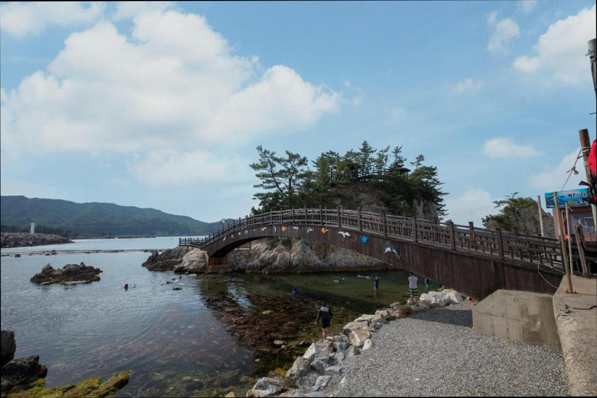 (이미지설명: 삼척 용화실크로드펜션 - 예약 꿀팁 안내사진)