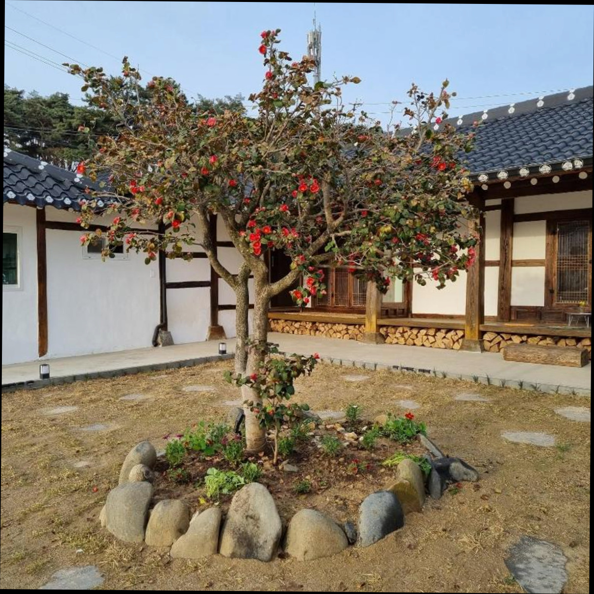 (이미지설명: 달이 뜨면 꽃이 피고 - 예약 꿀팁 안내사진)
