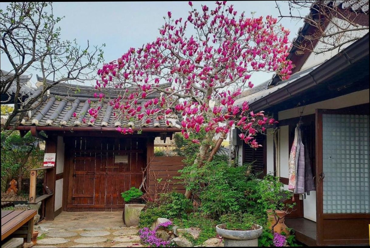 (이미지설명: 이화고택 - 예약 꿀팁 안내사진)