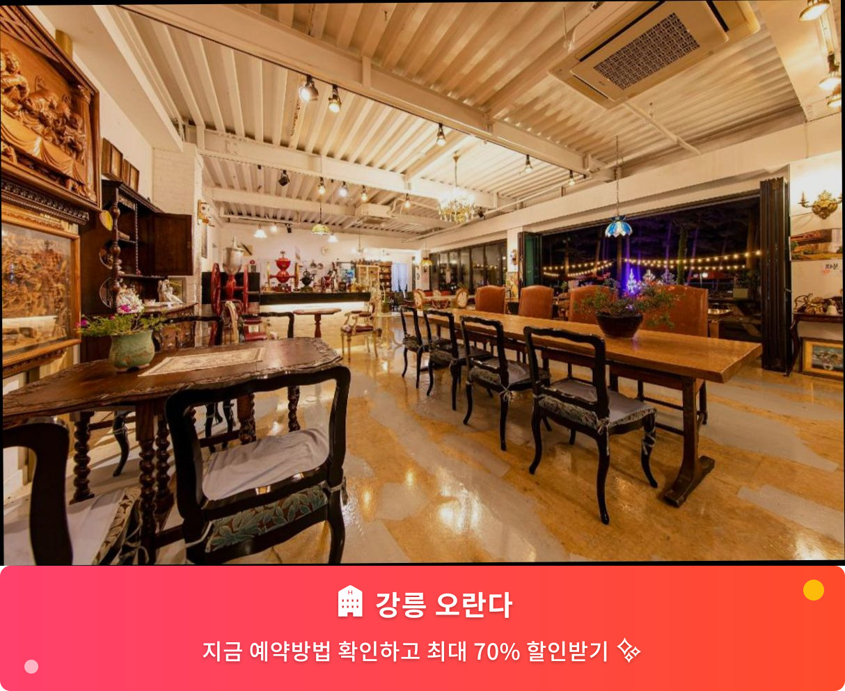 (이미지설명: 강릉 오란다 - 메인 안내사진)
