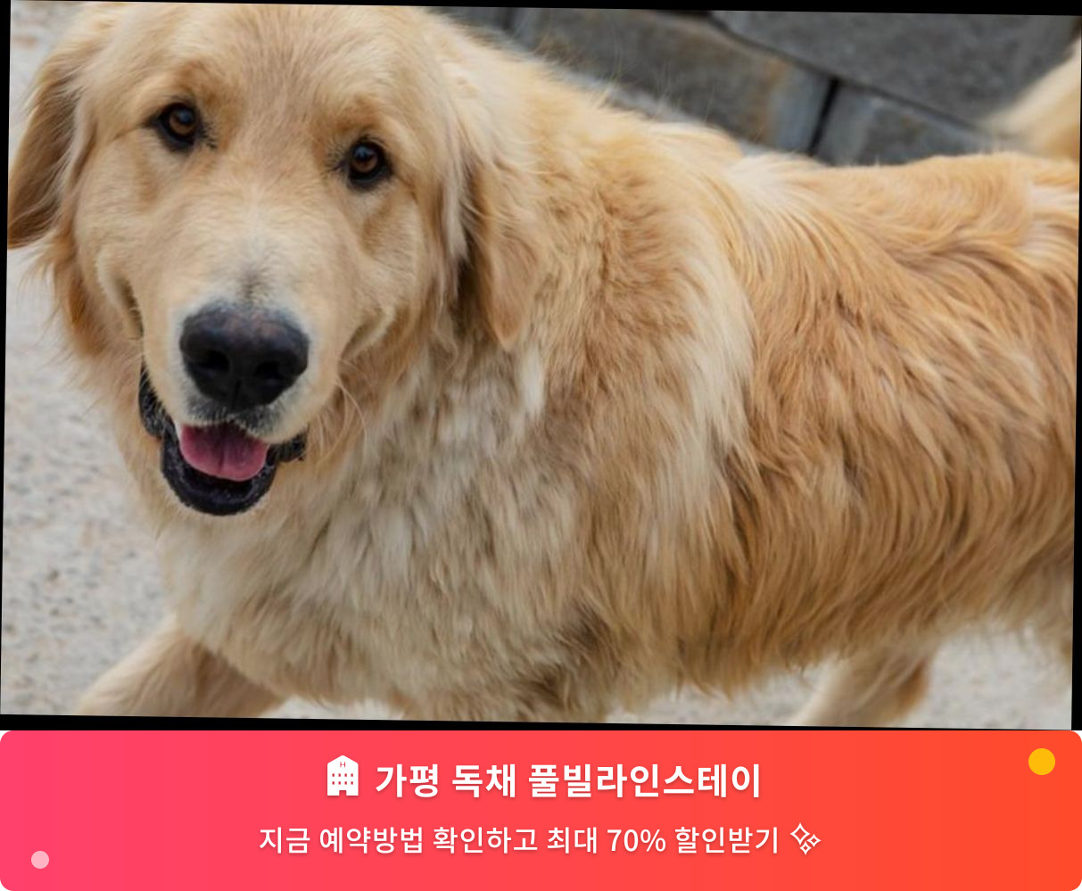 (이미지설명: 가평 독채 풀빌라인스테이  - 메인 안내사진)