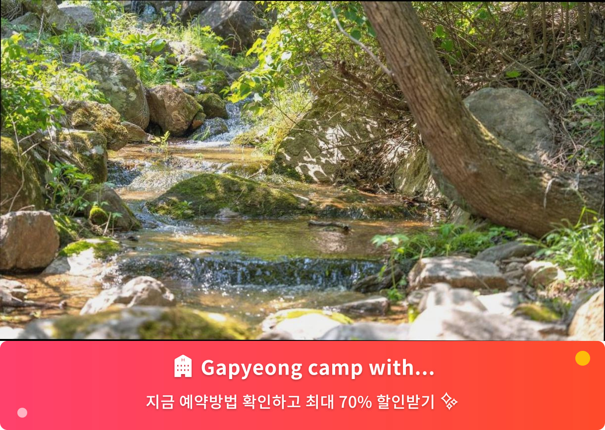 (이미지설명: Gapyeong camp with pet & aegyeonglamping - 메인 안내사진)