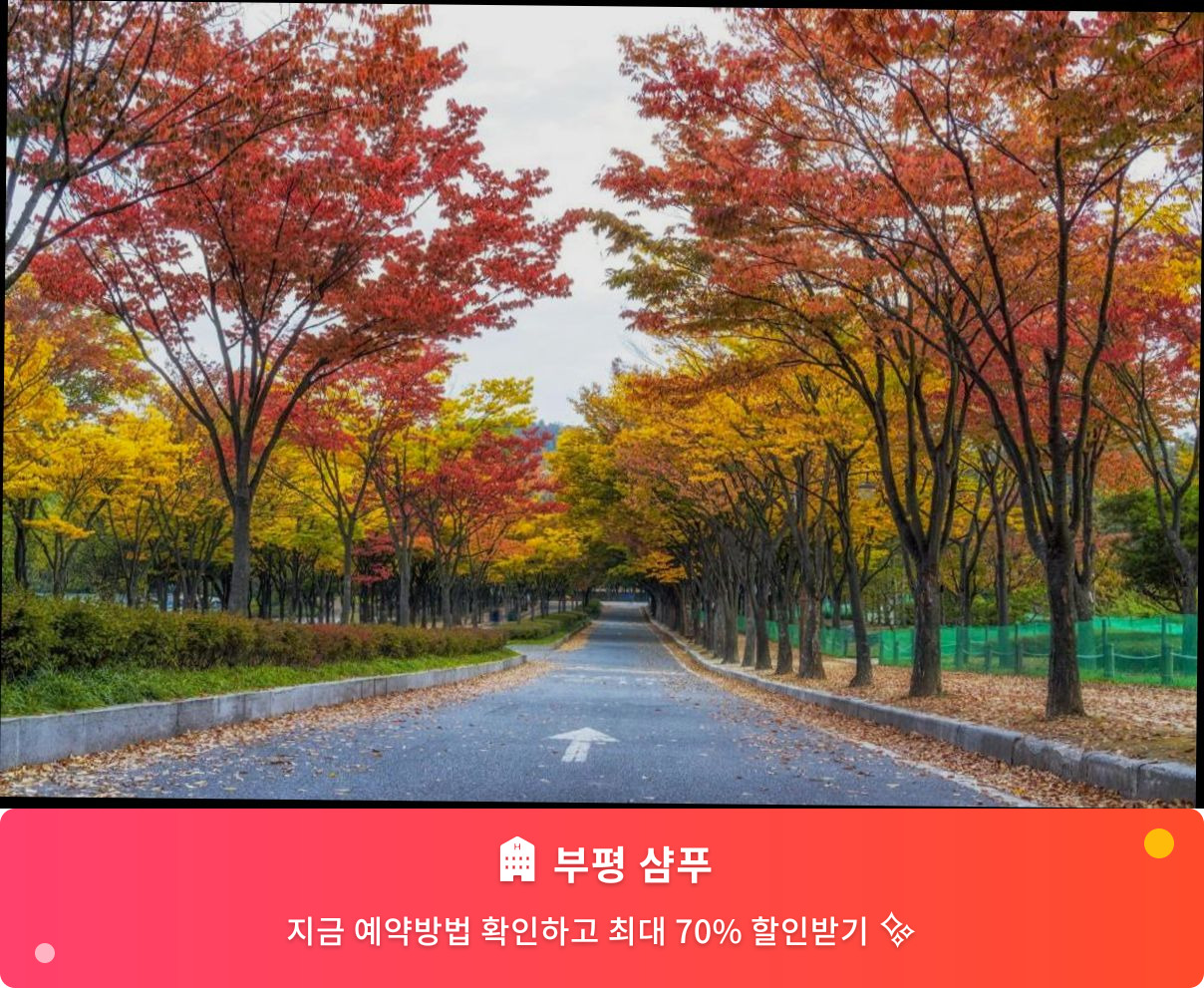 (이미지설명: 부평 샴푸 - 메인 안내사진)