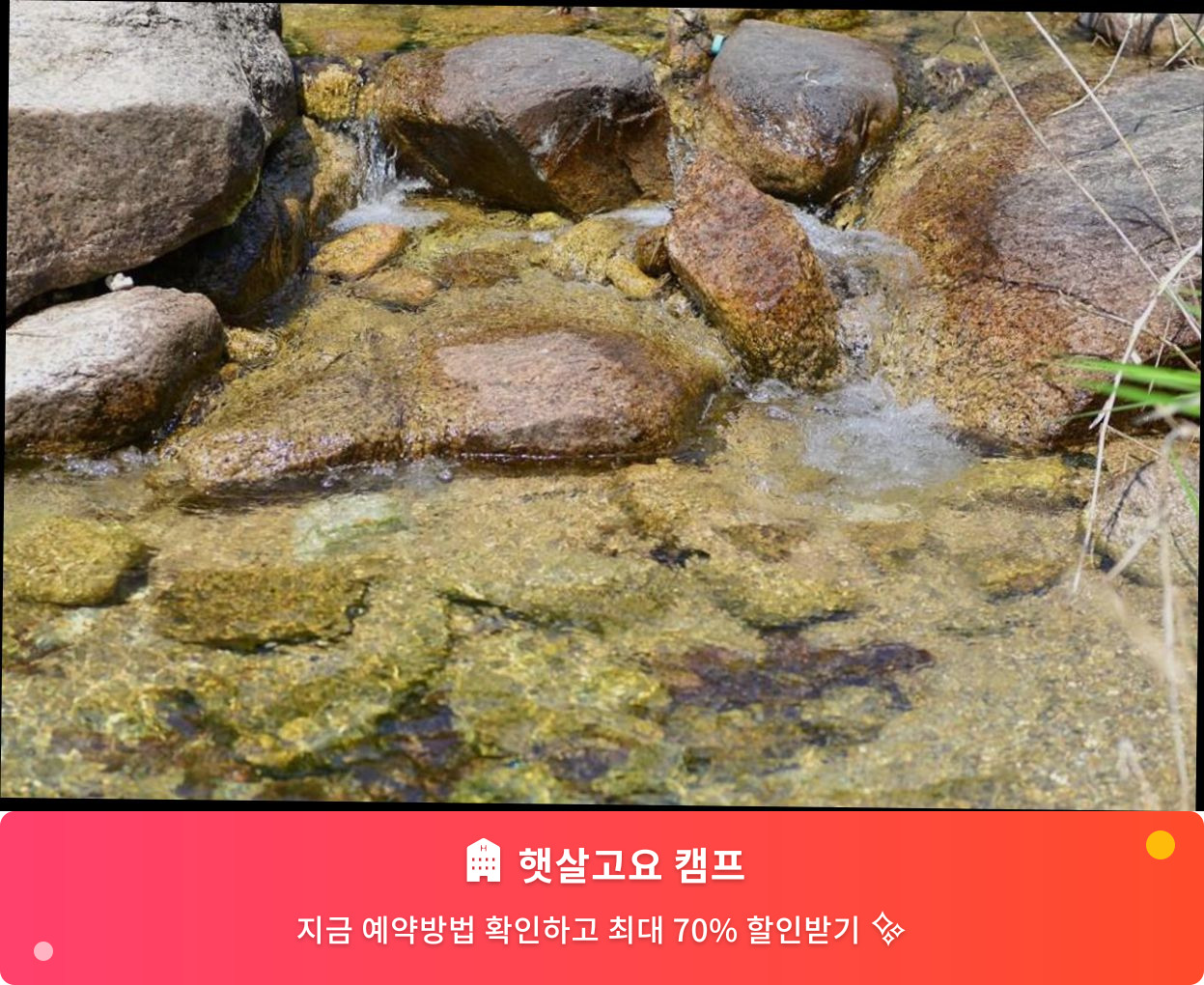 (이미지설명: 햇살고요 캠프 - 메인 안내사진)