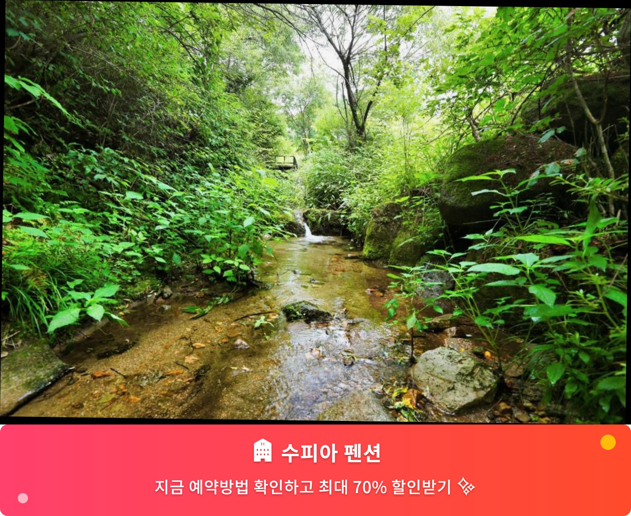 (이미지설명: 수피아 펜션 - 메인 안내사진)