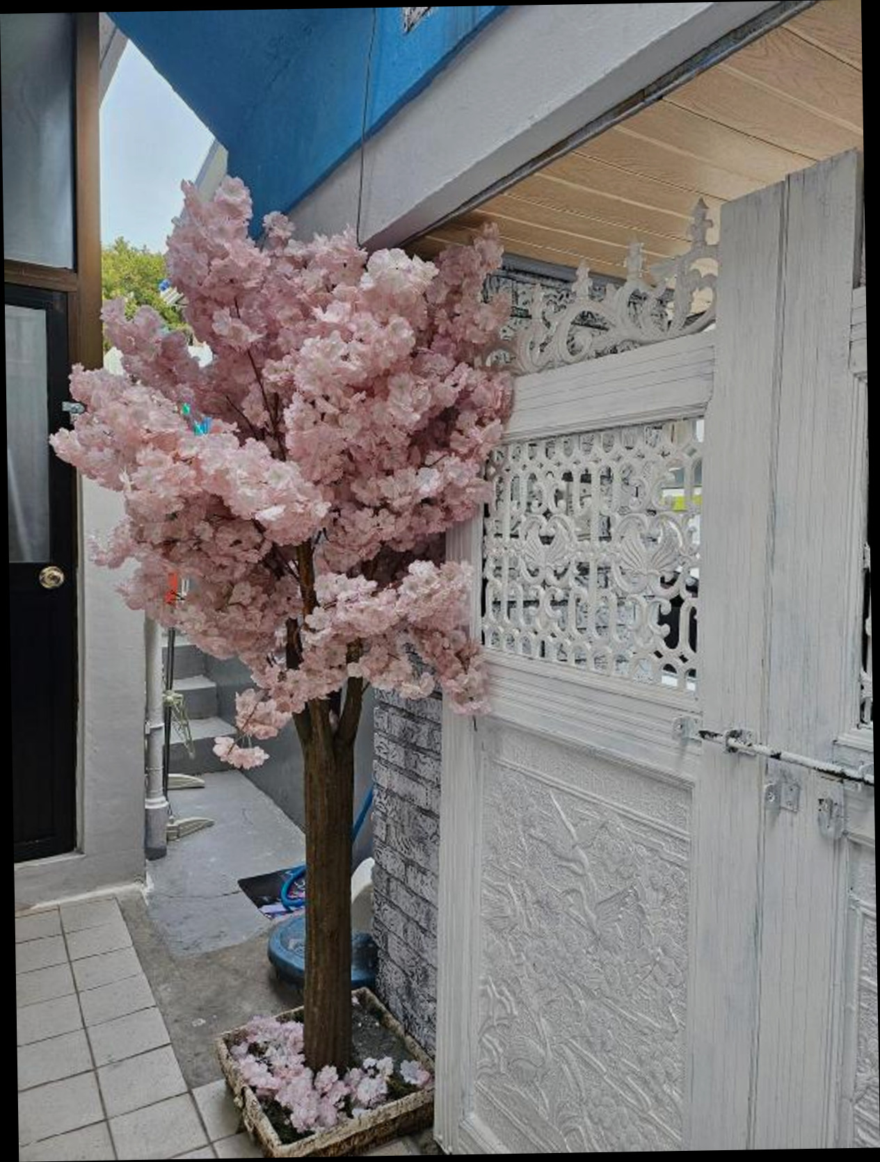 (이미지설명: 레몬트리 - 호텔 둘러보기 안내사진)
