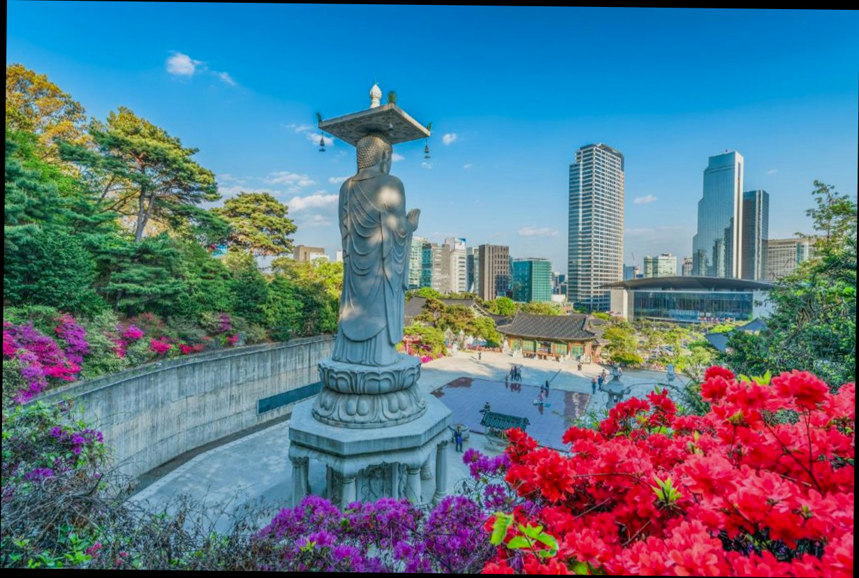 (이미지설명: 강남의 아파트먼트 (16m², 침실 1개, 프라이빗 욕실 1개) - 객실 안내사진)