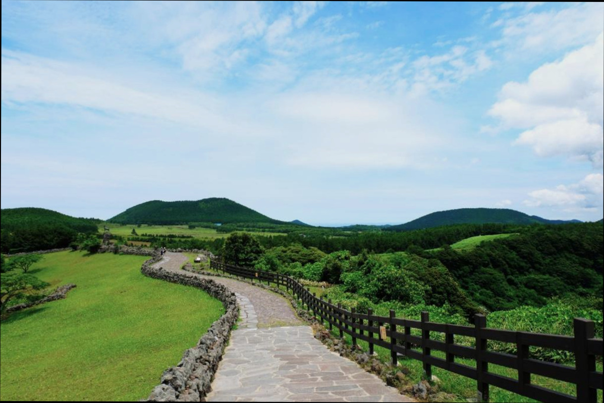 (이미지설명: 제주 팜파스 펜션 - 객실 안내사진)