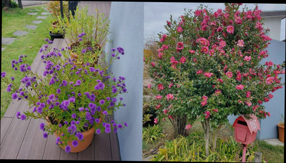 (이미지설명: 제주 메리제이 펜션 - 호텔 둘러보기 안내사진)