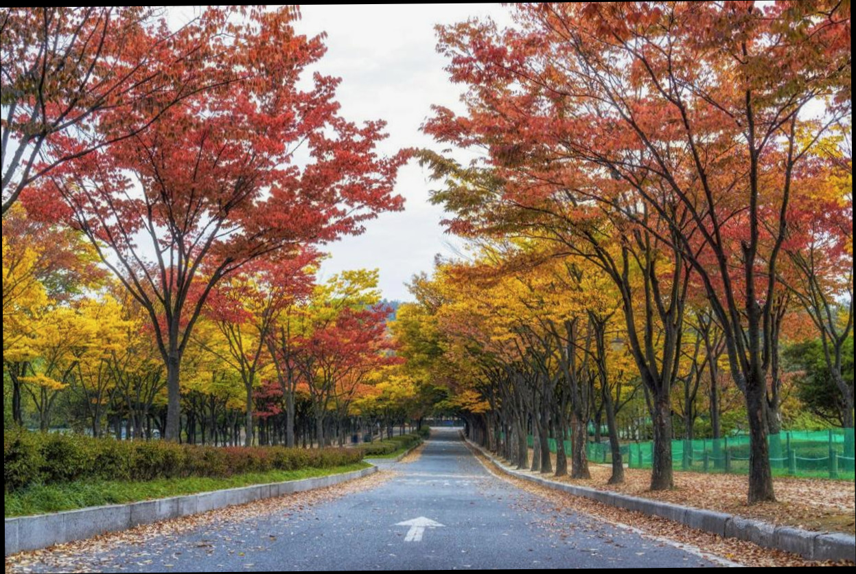 (이미지설명: 인천 골든 호텔 - 편의시설 및 서비스: 있을 건 다 있는 알찬 구성 안내사진)