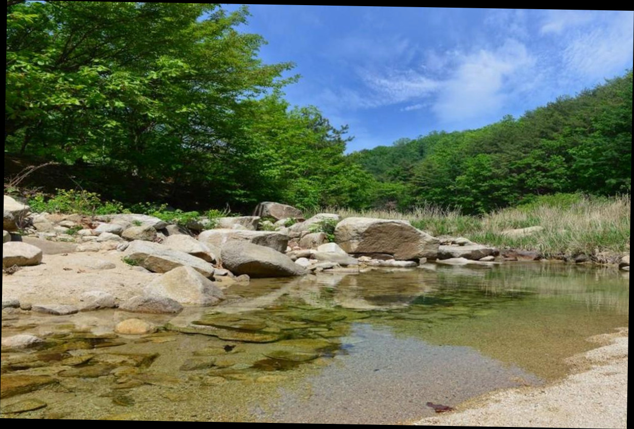 (이미지설명: 햇살고요 캠프 - 예약 꿀팁 안내사진)