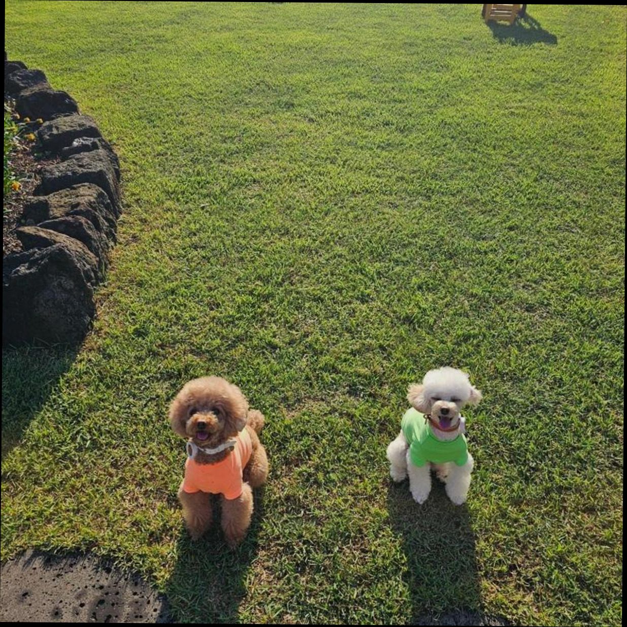(이미지설명: 조이핑블 하우스 - 예약 꿀팁 안내사진)