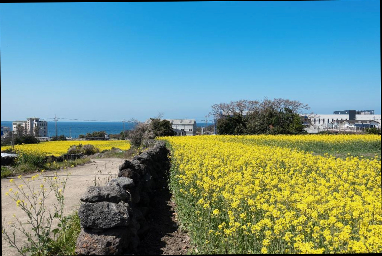 (이미지설명: 제주 하늘 키즈펜션 - 예약 꿀팁 안내사진)