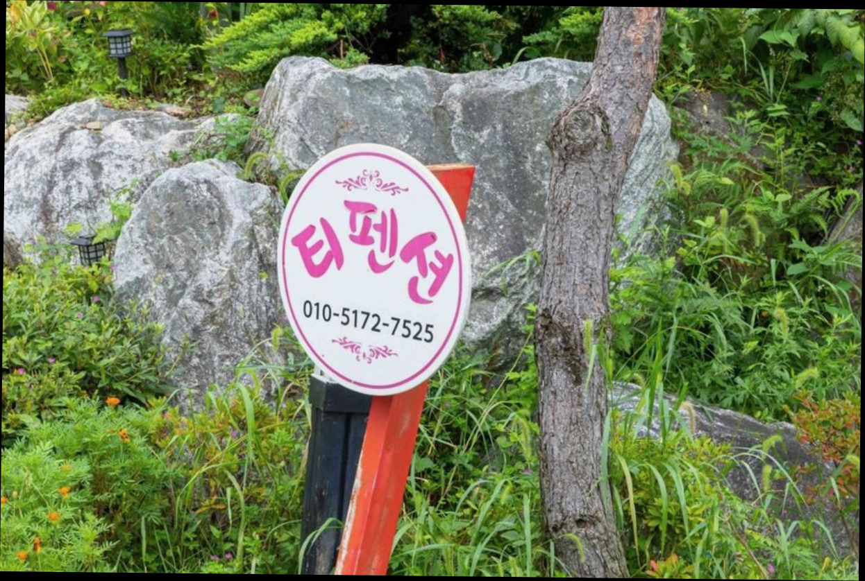 (이미지설명: T 펜션 - 주변 관광지 안내사진)