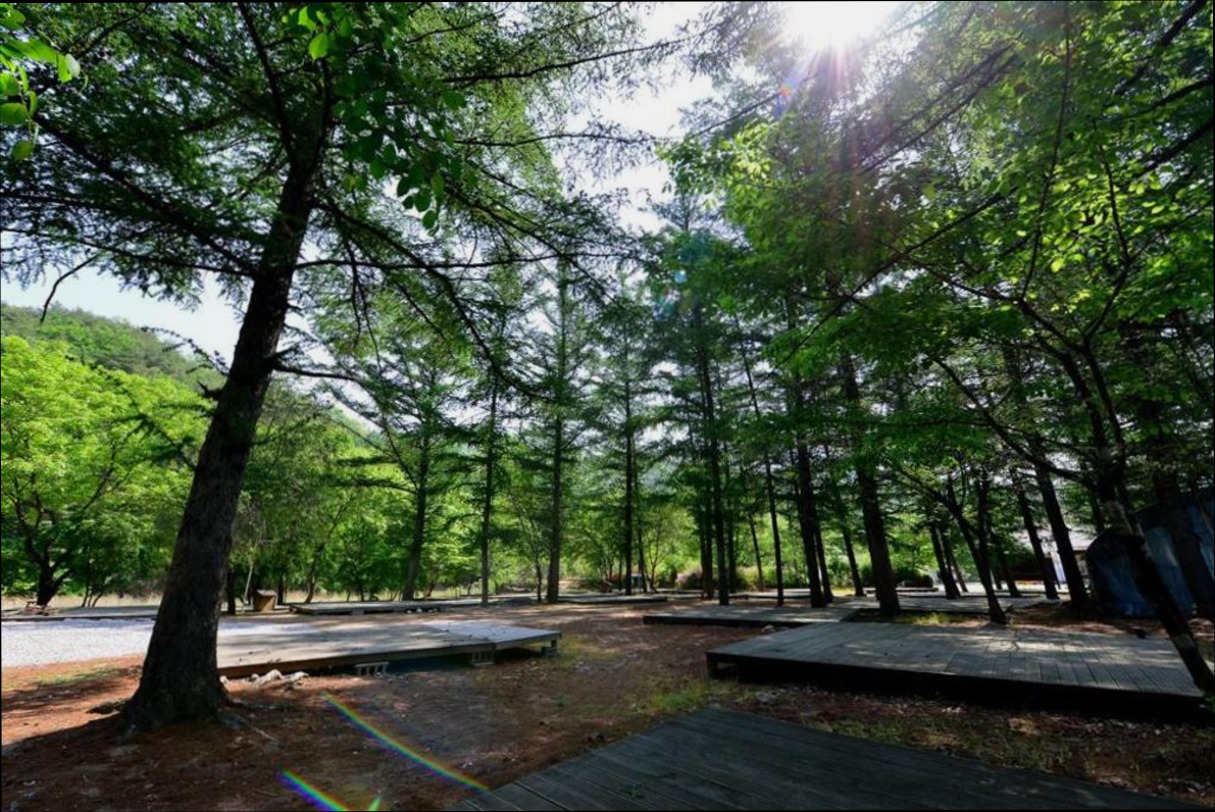 (이미지설명: 햇살고요 캠프 - 갤러리 안내사진)