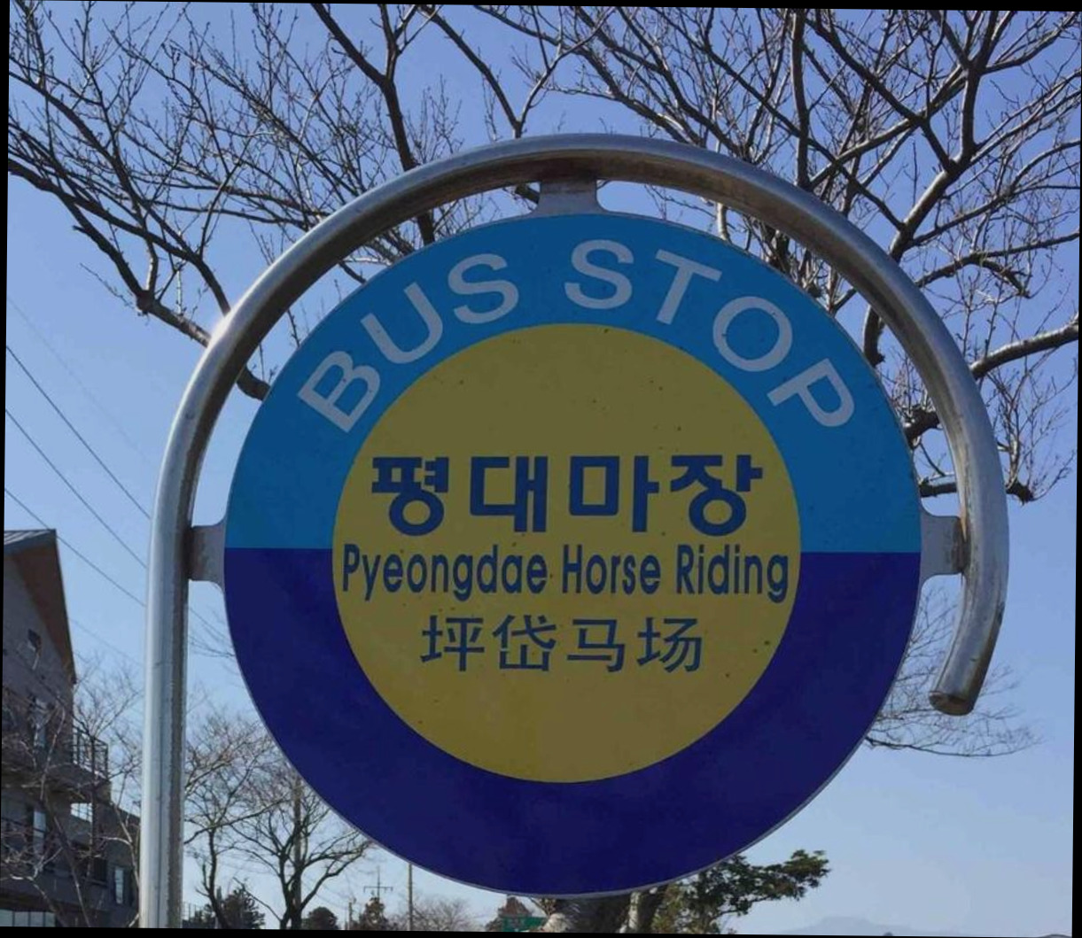 (이미지설명: 성산의 프라이빗 하우스 (40m², 침실 1개, 프라이빗 욕실 1개) - 갤러리 안내사진)