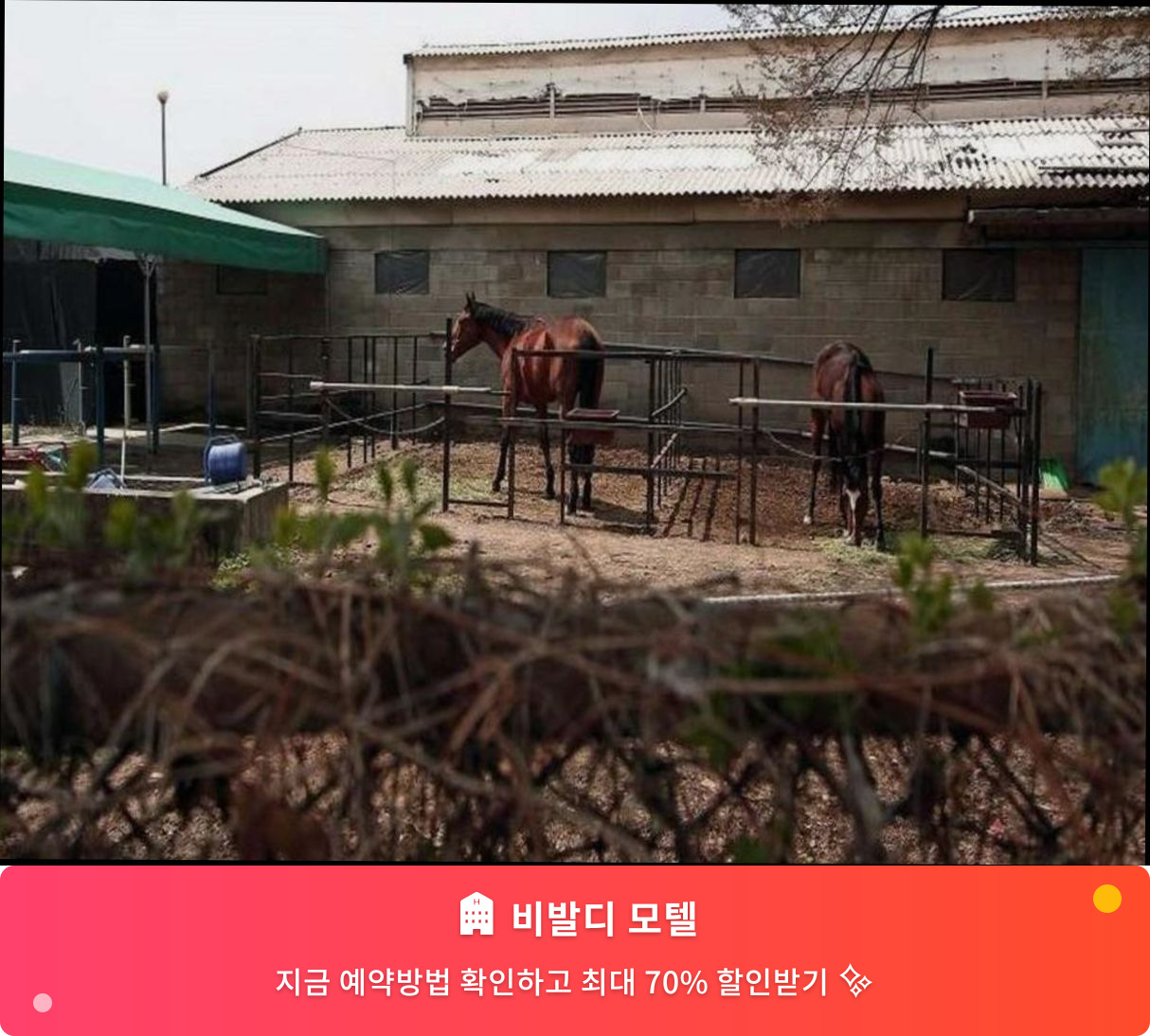 (이미지설명: 비발디 모텔 - 메인 안내사진)