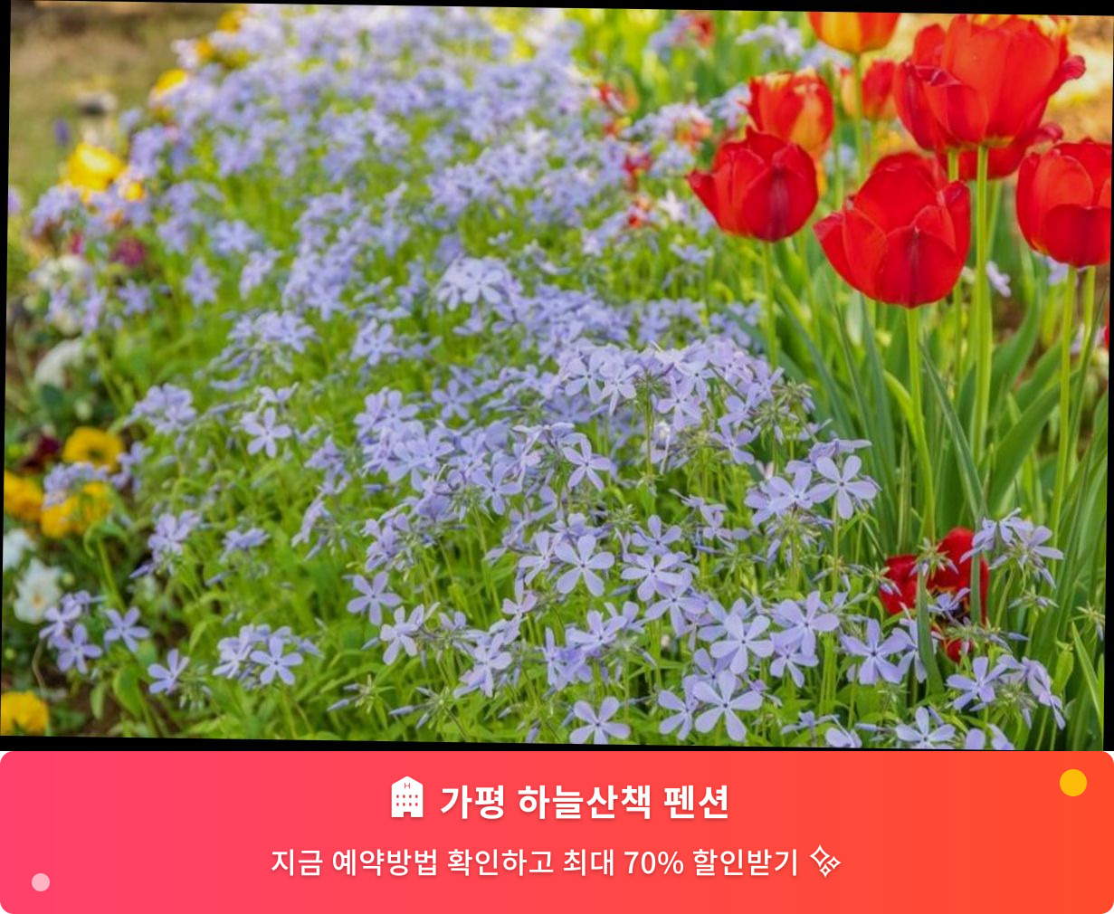 (이미지설명: 가평 하늘산책 펜션 - 메인 안내사진)