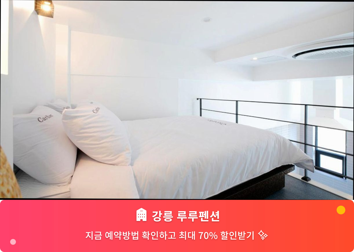 (이미지설명: 강릉 루루펜션 - 메인 안내사진)