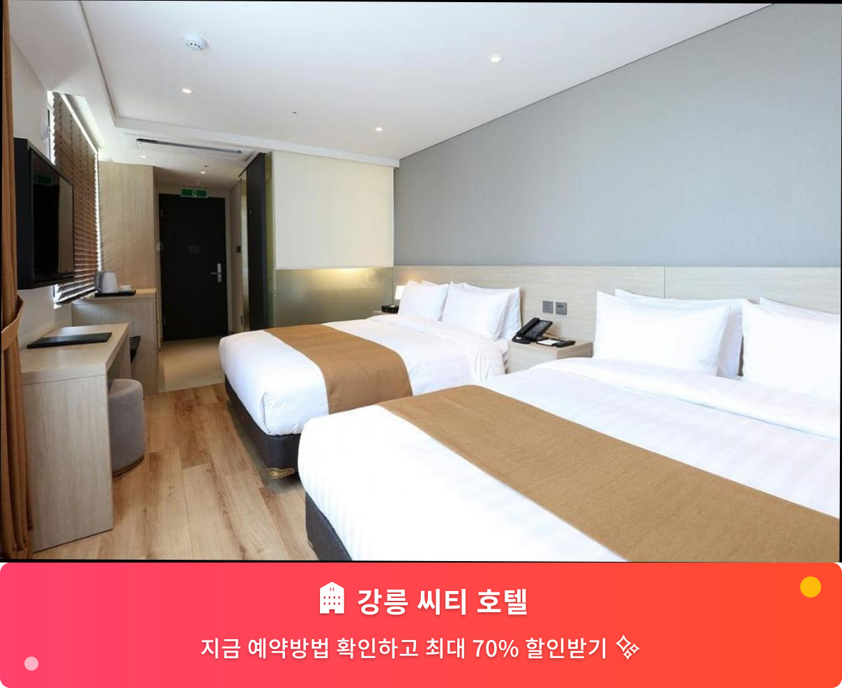 (이미지설명: 강릉 씨티 호텔 - 메인 안내사진)