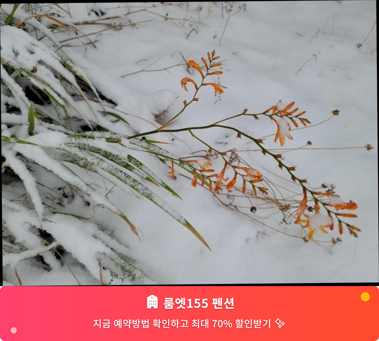 (이미지설명: 룸엣155 펜션 - 메인 안내사진)