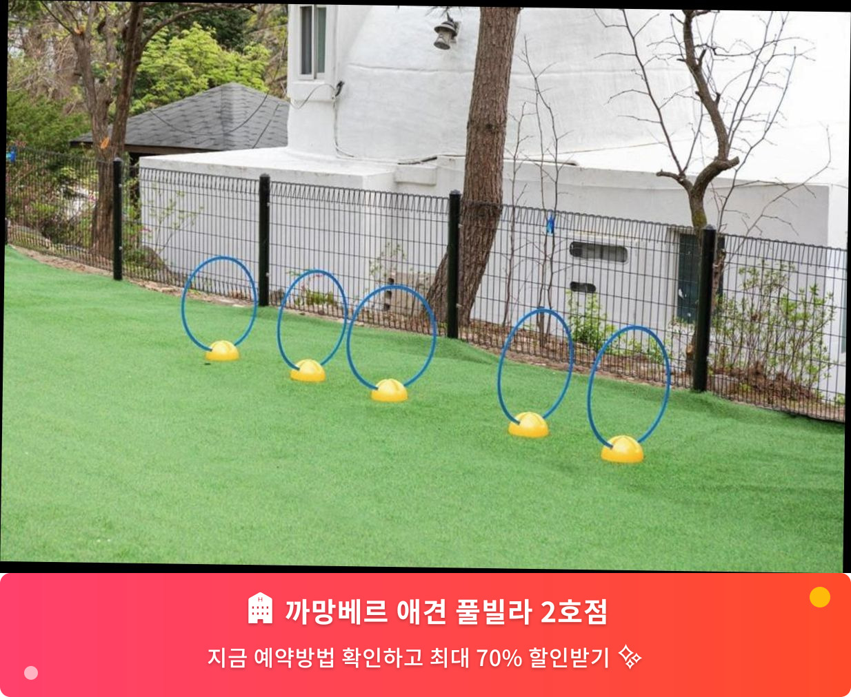 (이미지설명: 까망베르 애견 풀빌라 2호점 - 메인 안내사진)