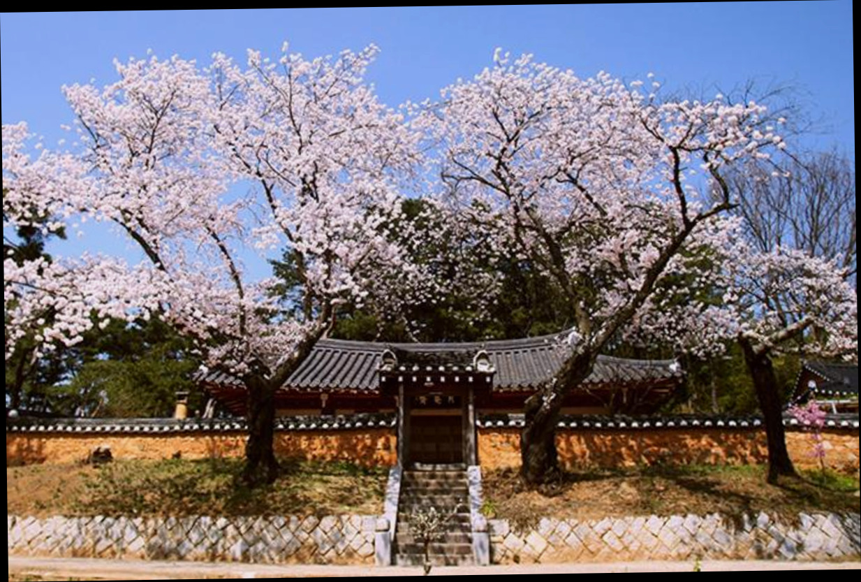 (이미지설명: 월암재 - 객실 안내사진)