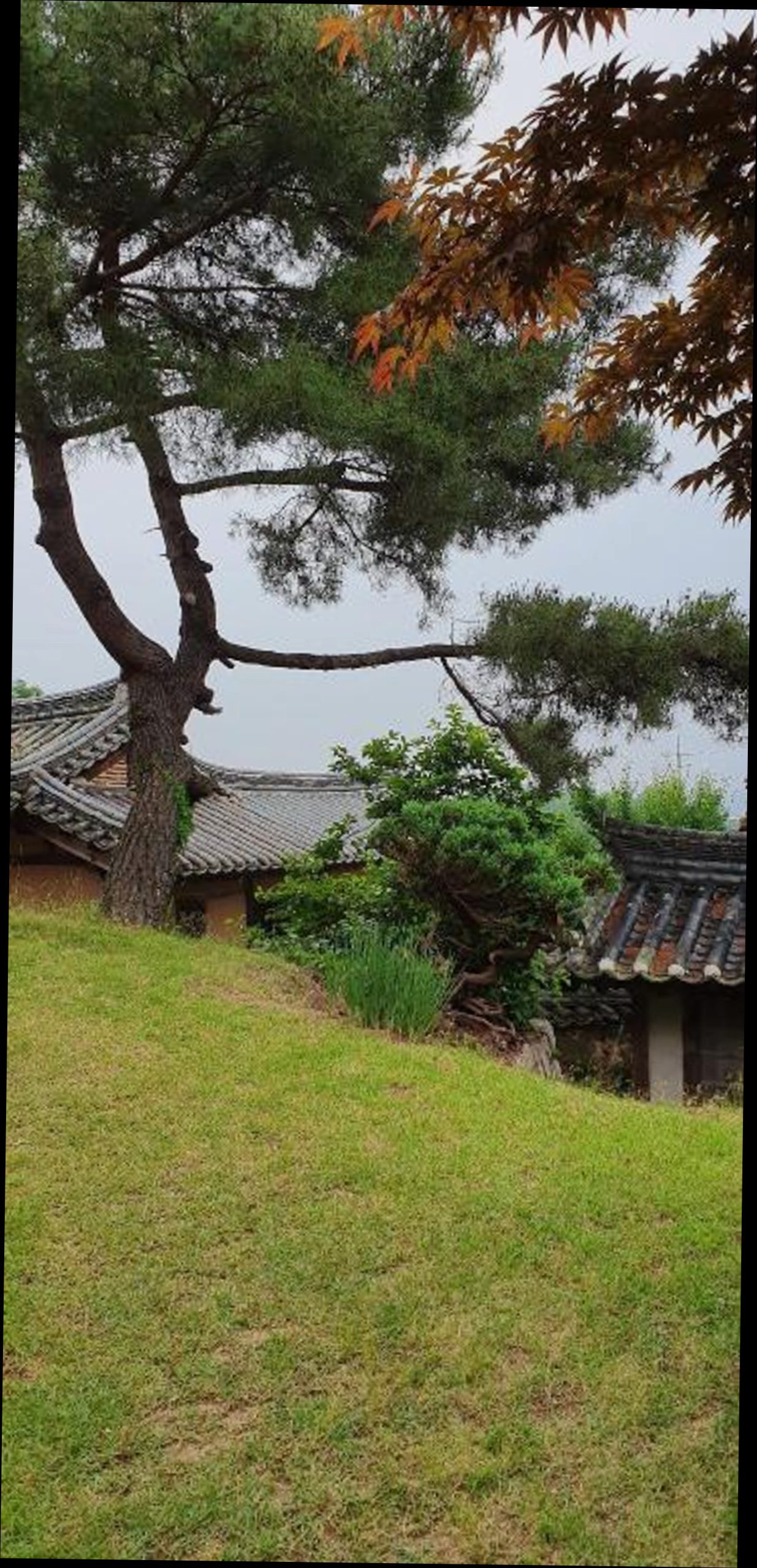 (이미지설명: 양소당 - 호텔 둘러보기 안내사진)