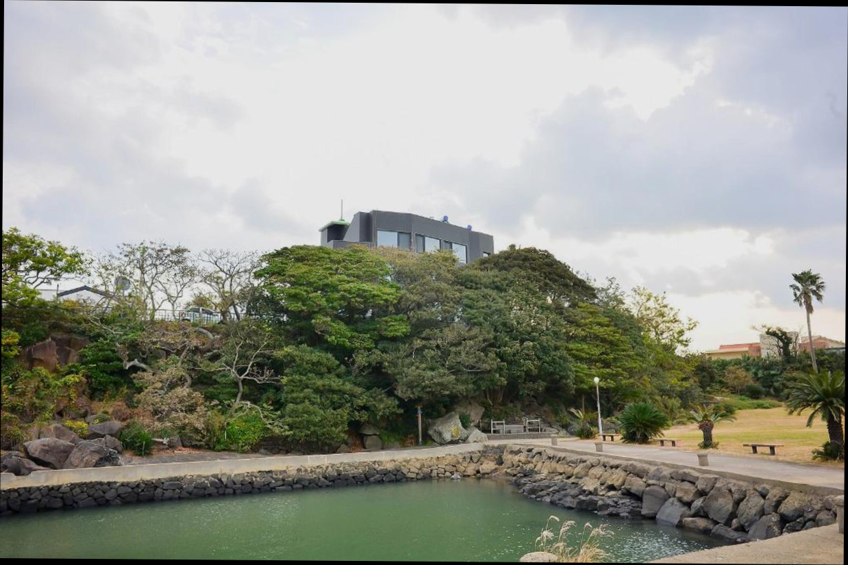 (이미지설명: Jeju Backpaecus Villa 백패커스 빌라 - 객실 상세 리뷰 안내사진)