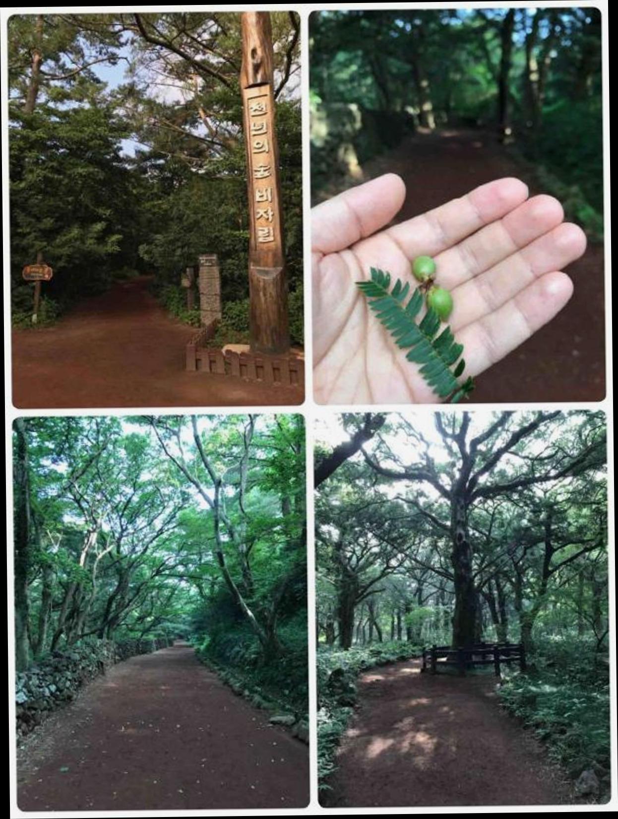 (이미지설명: 성산의 프라이빗 하우스 (40m², 침실 1개, 프라이빗 욕실 1개) - 갤러리 안내사진)