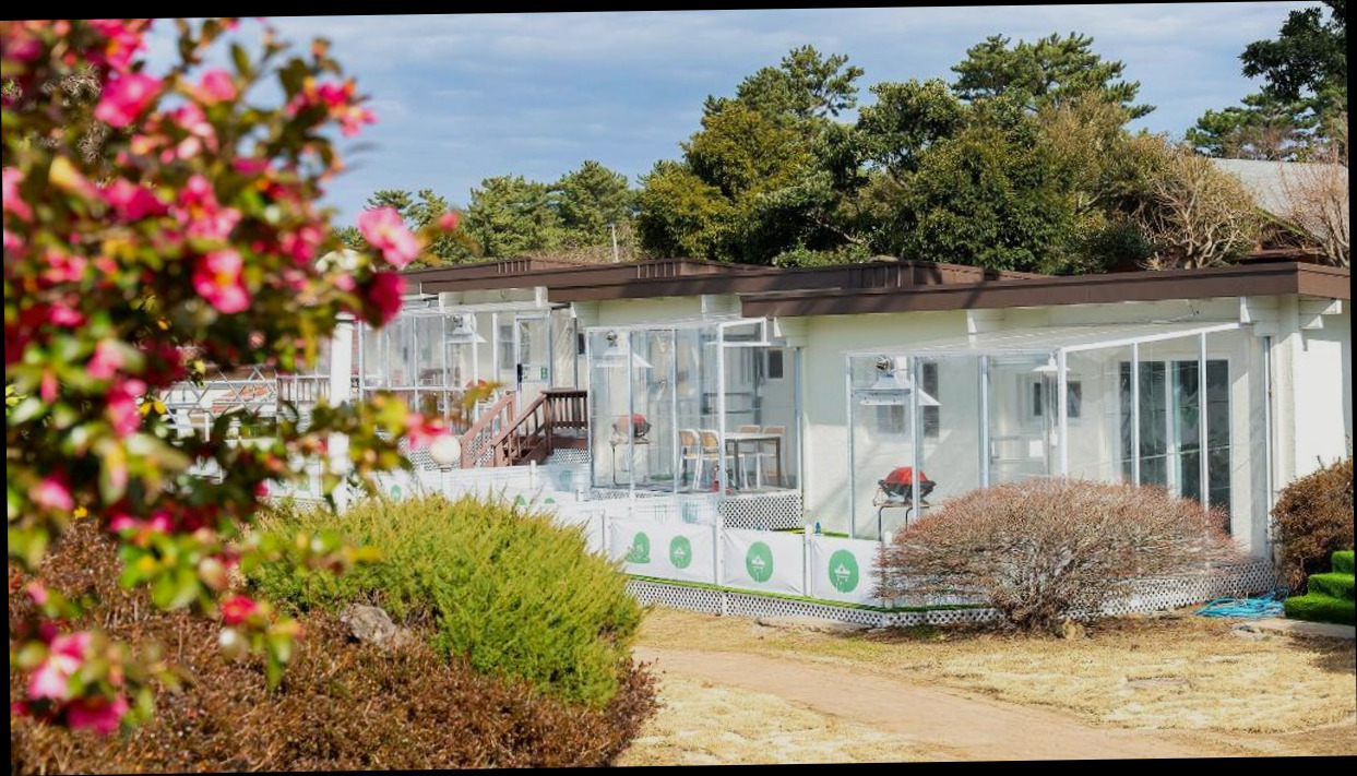 (이미지설명: Jeju Dangdangi Dog Pension Black - 갤러리 안내사진)