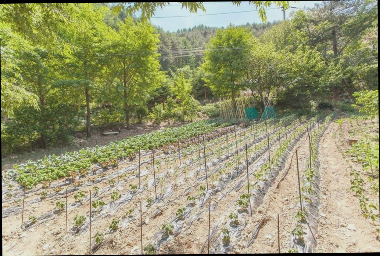 (이미지설명: 평창 송림 독채 펜션 - 편의시설 및 서비스 안내사진)
