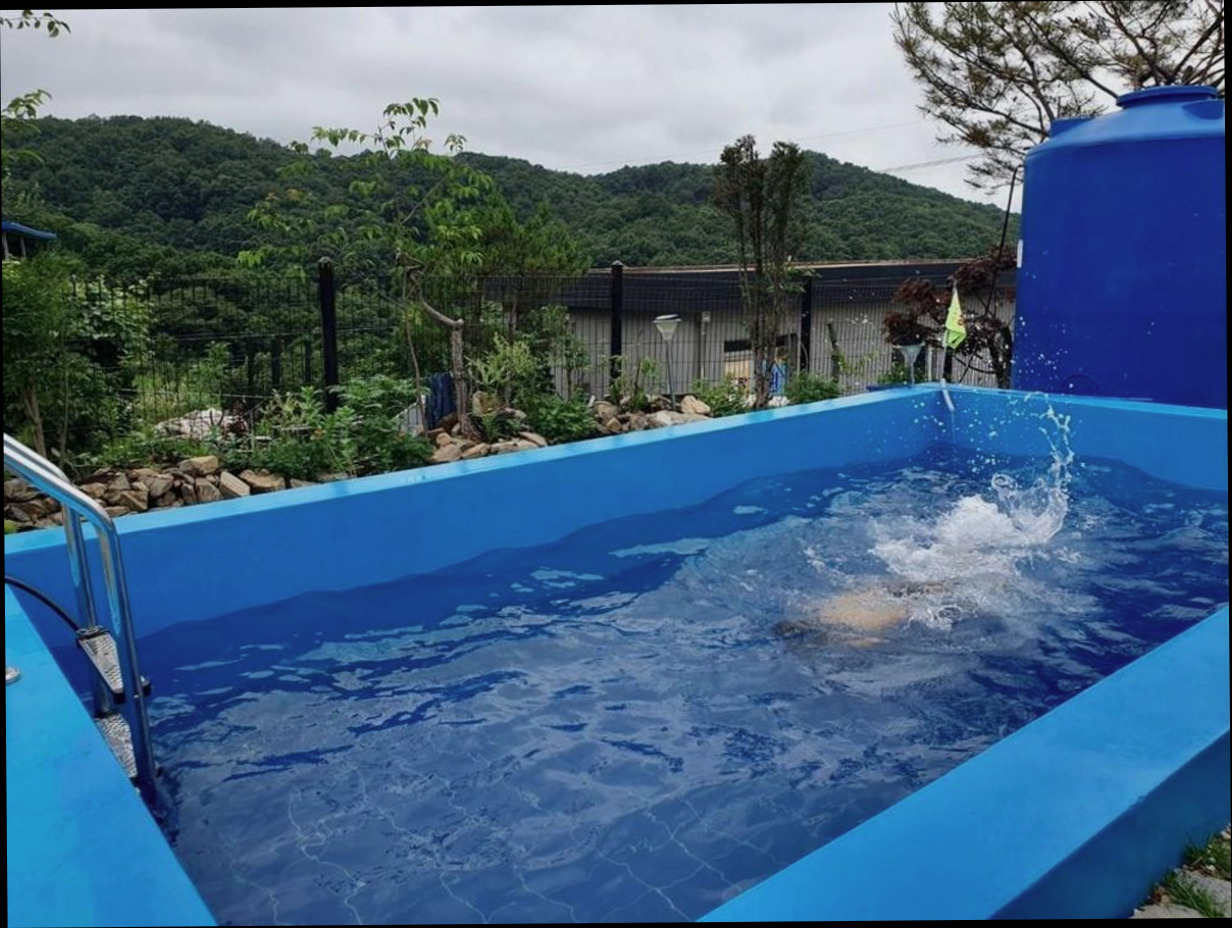 (이미지설명: 쫑이와 메리 애견 펜션 - 편의시설 및 서비스 안내사진)